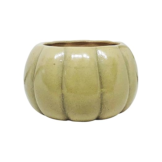 Ceramic Planter Pot Indoor Ourdoor Plants,Home and Garden Decor, Decorative Succulents Pot (Size : 6.5 Inches.) (Brown)