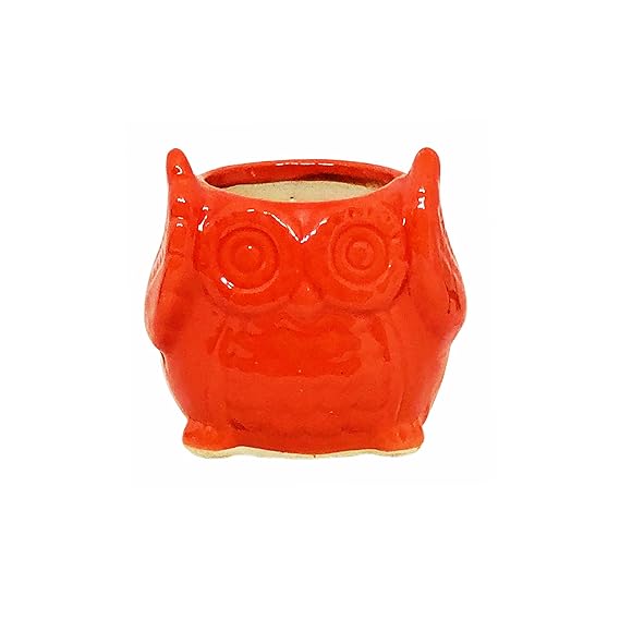  Owl Ear Shape Ceramic Pots Ceramic Planters for Indoor Plants/Planters,Home Decor,Garden Decor,Office Decor,Decorative Succulents Pot (L:10 cm, W:10 cm, H:10 cm) (Orange)