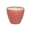  Ceramic Planter Pot Indoor Ourdoor Plants,Home and Garden Decor, Decorative Succulents Pot (Size:5 Inches) (Pink)