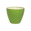  Ceramic Planter Pot Indoor Ourdoor Plants,Home and Garden Decor, Decorative Succulents Pot (Size:5 Inches) (Green)