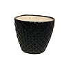 Ceramic Planter Pot Indoor Ourdoor Plants,Home and Garden Decor, Decorative Succulents Pot (Size:5 Inches) (Grey)