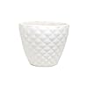 Ceramic Planter Pot Indoor Ourdoor Plants,Home and Garden Decor, Decorative Succulents Pot (Size:5 Inches) (White)