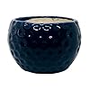  Ceramic Planter Pot Indoor Ourdoor Plants,Home and Garden Decor, Decorative Succulents Pot (Size : 6 Inches.) (Dark Blue)