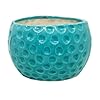 Ceramic Planter Pot Indoor Ourdoor Plants,Home and Garden Decor, Decorative Succulents Pot (Size : 6 Inches.) (Blue)