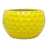 Ceramic Planter Pot Indoor Ourdoor Plants,Home and Garden Decor, Decorative Succulents Pot (Size : 6 Inches.) (Yellow)