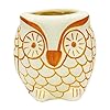  Ceramic Planter Pot Lucky Owl Shaped for Indoor Ourdoor Plants,Home and Garden Decor, Decorative Succulents Pot (Color: White Golden ; Size : 4.5 Inches.)