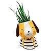 Resin Dog Boy Face Succulent Planter Pot (Plant Not Included) with Drainage Hole for Home Office Decor, Multicolour, Size : 4 Inches.