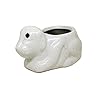 Dog Shape Miniature Ceramic Pots Ceramic Planters for Indoor Plants/Planters,Home Decor,Garden Decor,Office Decor,Decorative Succulents Pot (Color: White)(L:11 cm, W:6 cm, H:5.5 cm)