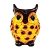  Resin Lucky Owl Flower Pot/Planter, Decorative Succulent Pot with Drainage Hole for Home Office Decor, Garden Decor, Multicolour, Size : 5.5 Inches.