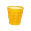  Ceramic Planter Pot Indoor Ourdoor Plants,Home and Garden Decor, Decorative Succulents Pot (Size :5.5 Inches.) (Yellow)