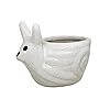 Snail Shape Ceramic Pots Ceramic Planters for Indoor Plants/Planters,Home Decor,Garden Decor, Decorative Succulents Pot (Color: White)(L:15 Cms; W:10 Cms; H:11 Cms.)