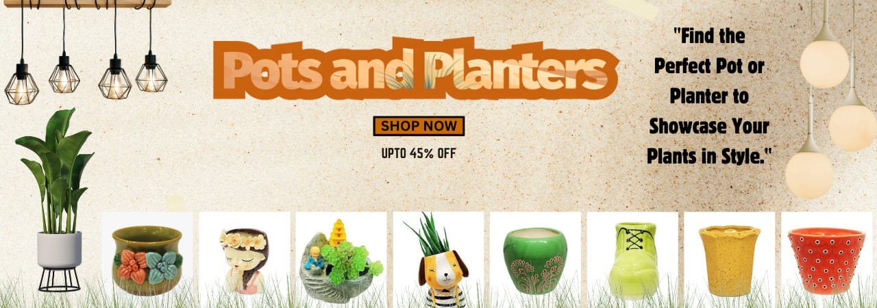 POTS & PLANTERS