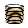 Ceramic Planter, Flower Pot for Indoor & Ourdoor Decor,Home and Garden Decor, Decorative Succulents Pot (Color: Black, Golden Stripes ; Size :4 Inches.)