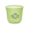  Glossy Ceramic Pots Ceramic Planters for Indoor Plants/Planters,Home Decor,Garden Decor, Decorative Succulents Pot (L:14 Cms; W:14 Cms; H:12.5 Cms.) (Green)