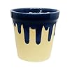  Ceramic Planter Pot Indoor Ourdoor Plants,Home and Garden Decor, Decorative Succulents Pot (Size : 5 Inches) (Blue)