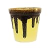  Ceramic Planter Pot Indoor Ourdoor Plants,Home and Garden Decor, Decorative Succulents Pot (Size : 5 Inches) (Yellow)