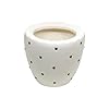 Ceramic Planter Pot Indoor Ourdoor Plants,Home and Garden Decor, Decorative Succulents Pot (Size : 4.5 Inches) (White Dot)